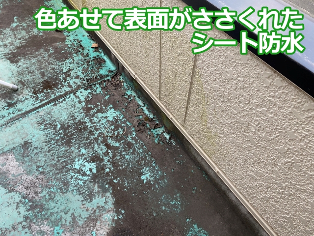 色あせたベランダ床シート防水の表面