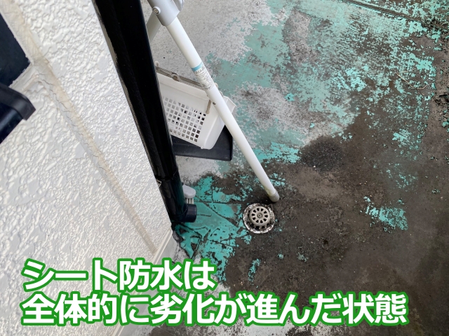 築30年が経過したシート防水は、全体的に劣化が進行している状態