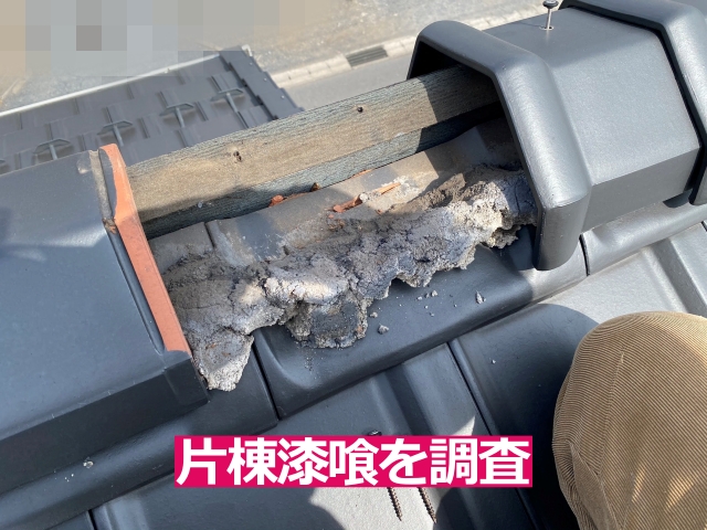 片棟内部の漆喰の状態を確認するため、棟瓦を一部取り外したところ
