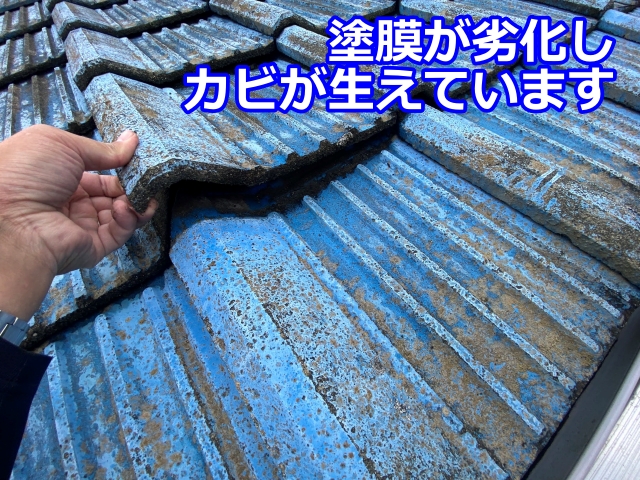塗装が剥げ、一面黒カビに覆われたセメント瓦屋根