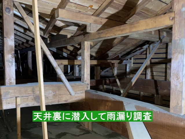 天井裏に潜入して雨漏り調査