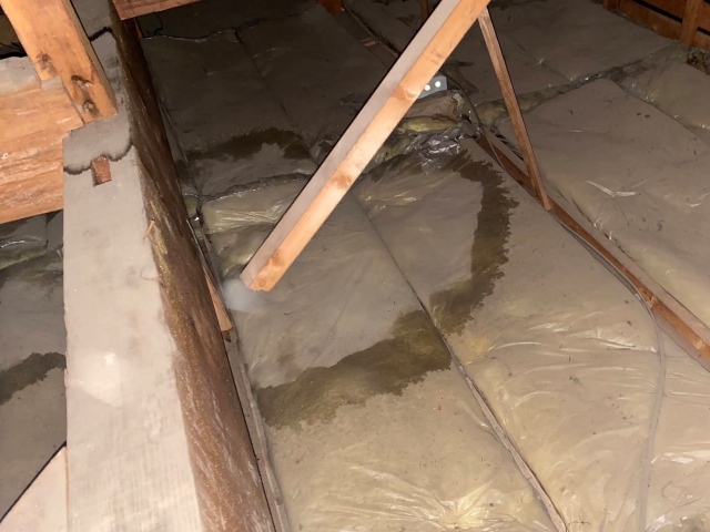 天井裏に敷き込まれた断熱材に広がる雨染みの様子