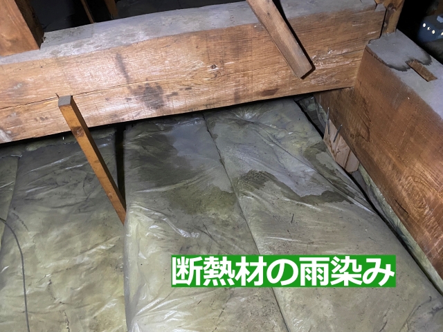 天井裏に入り断熱材の雨染みを確認しました
