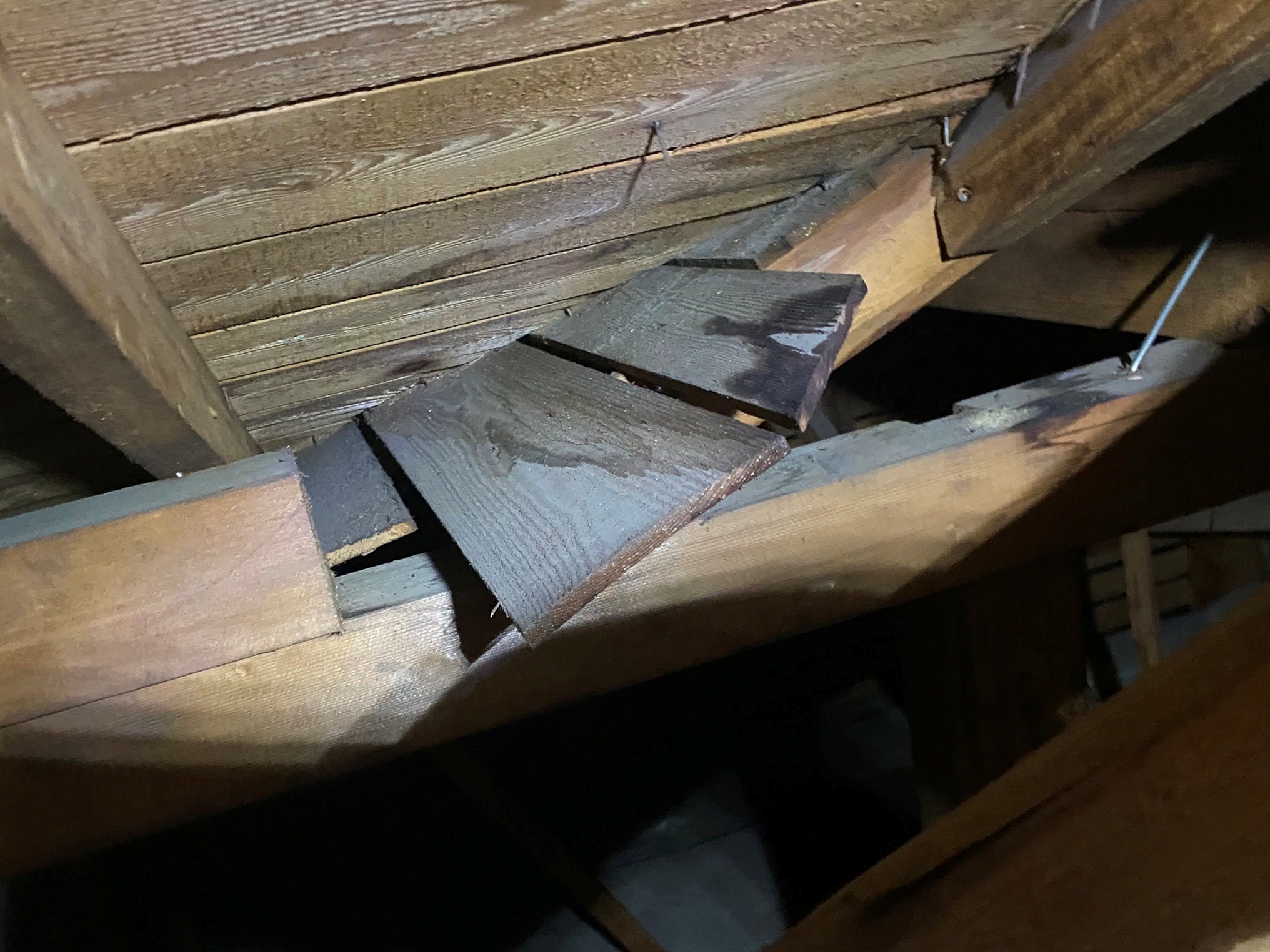 屋根下地の雨漏り箇所