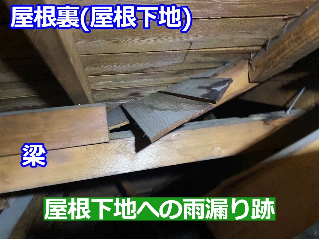 天井裏の屋根下地に残る雨染み跡