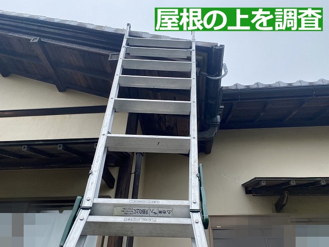 小山市の瓦葺きの屋根に登って調査します