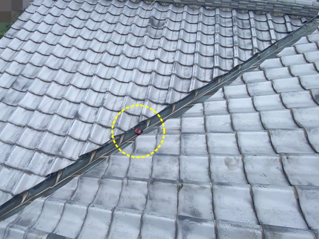 漏水が疑われる谷部分を確認します