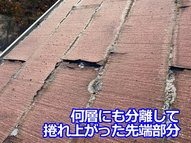 何層にも分離して捲れ上がっています