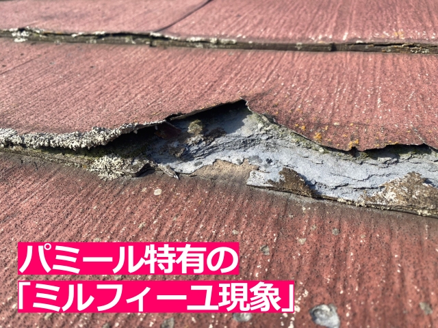 パミール特有の層状剥離による先端の剥がれ