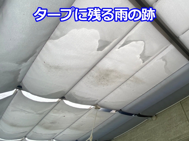 応急的に雨漏り対策として張っているタープには雨の跡がくっきり1