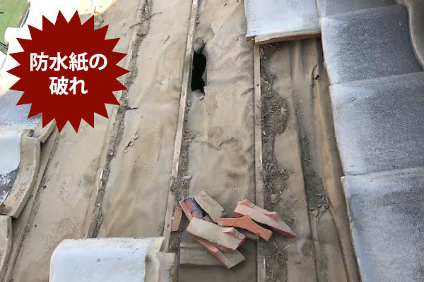 防水紙の劣化は雨漏り発生につながる