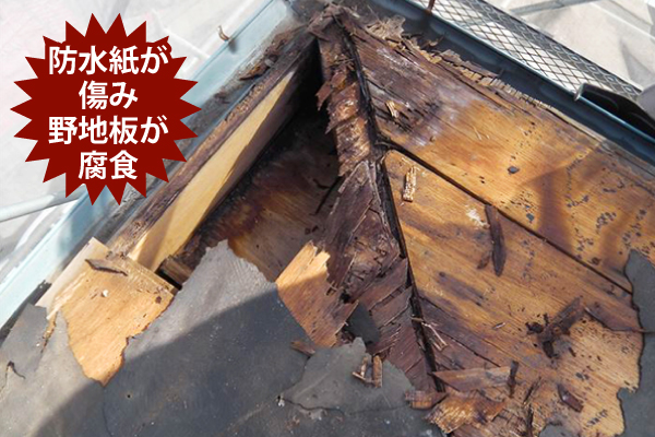 水分で野地板が傷んだ写真