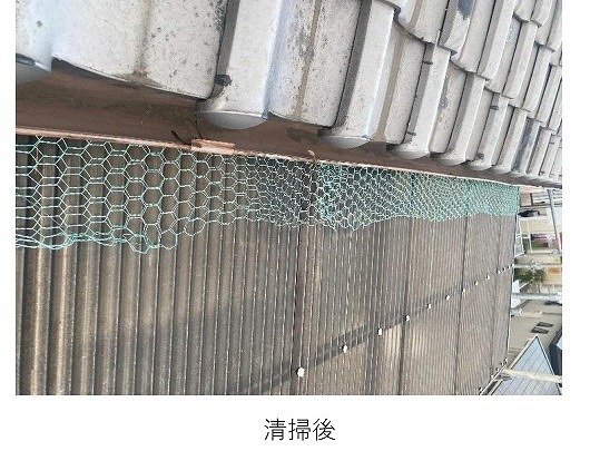 清掃後：軒先側の堆積が解消し見通しが良くなった状態