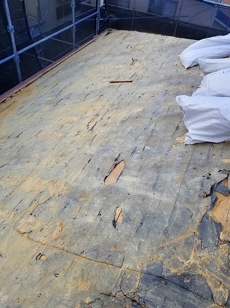 加古川市 波板工事 長尺はしご・二重ロープで安全確保