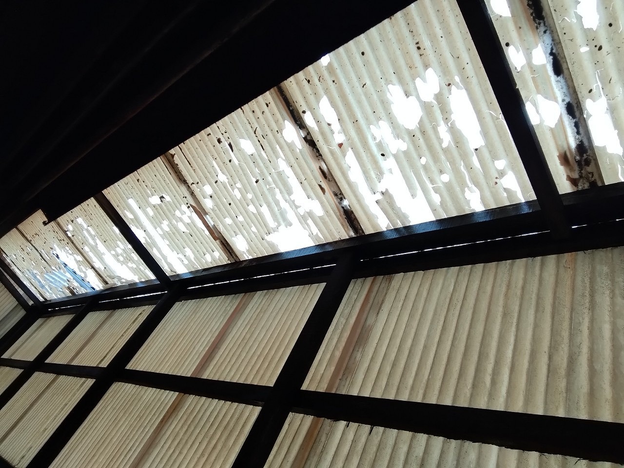加古郡稲美町　雹害　工場波板破穴開き