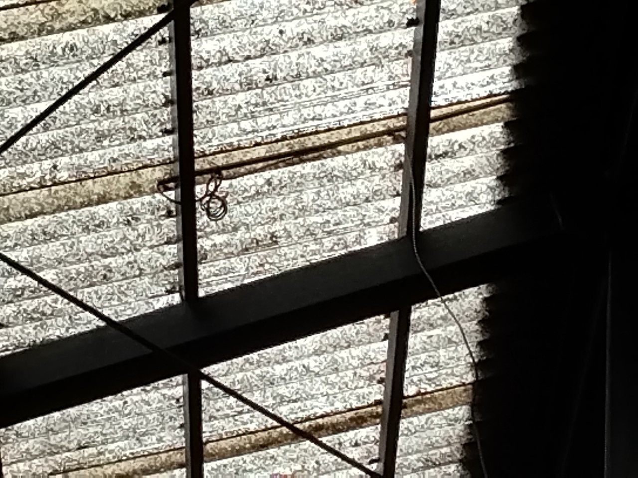 加古郡稲美町　雹災害　工場明り取りに被害