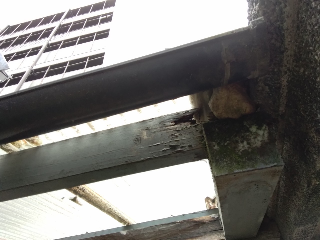 加古川市　ガレージ内部　漏水して木材劣化