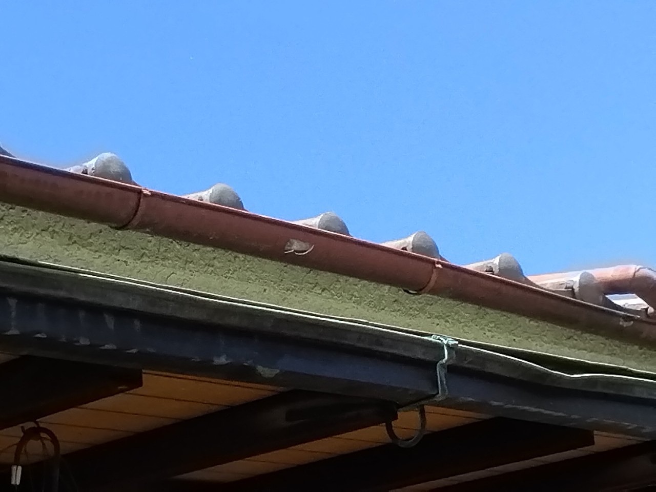 明石市　ひょう災害　雨樋の軒樋(半丸)破損