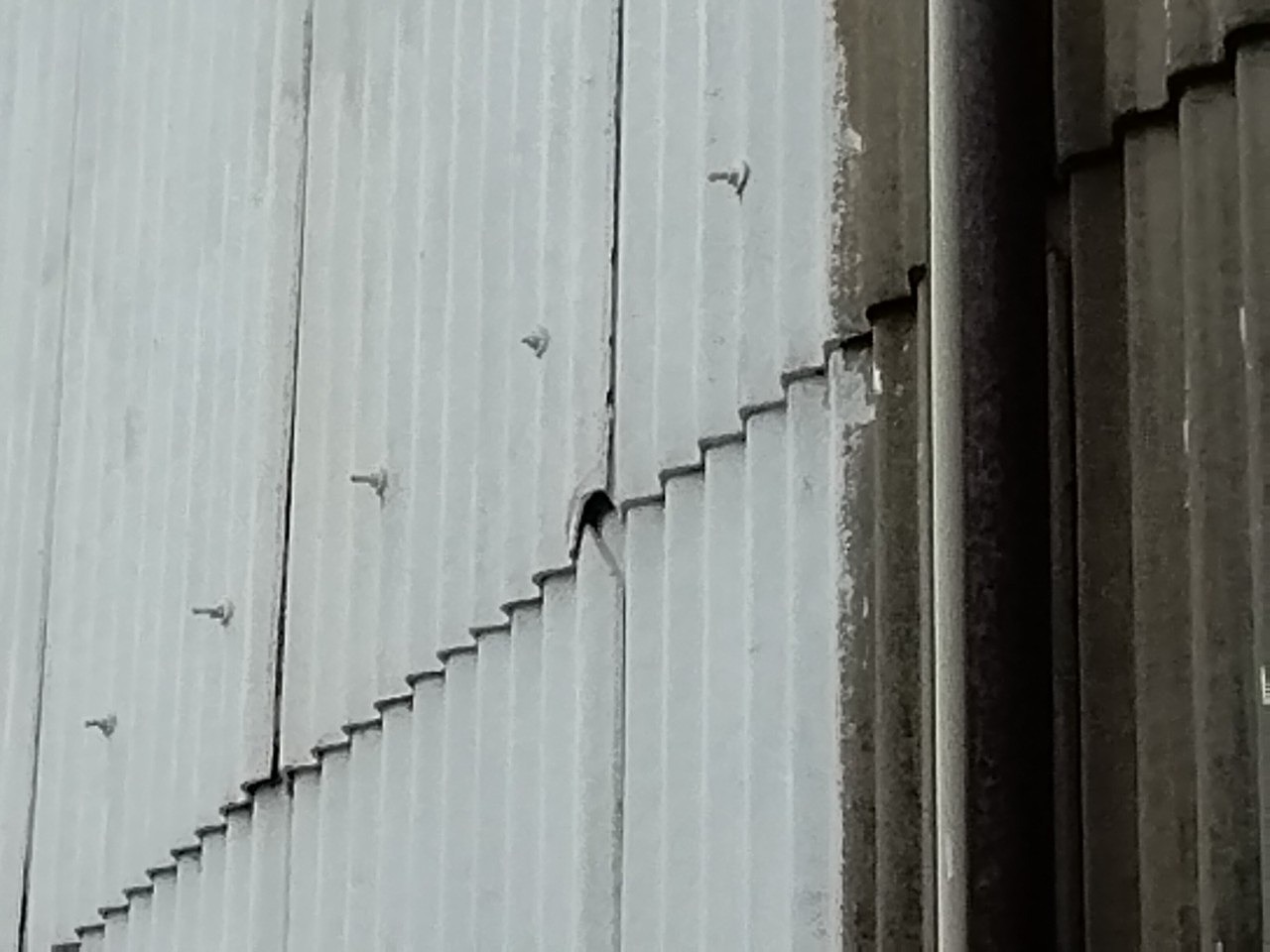 加古郡稲美町　ひょうで　外壁スレートに被害