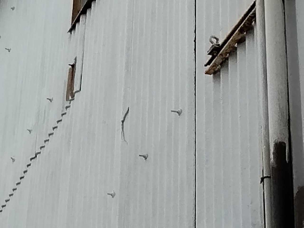 加古郡稲美町　雹災害　外壁スレートに被害