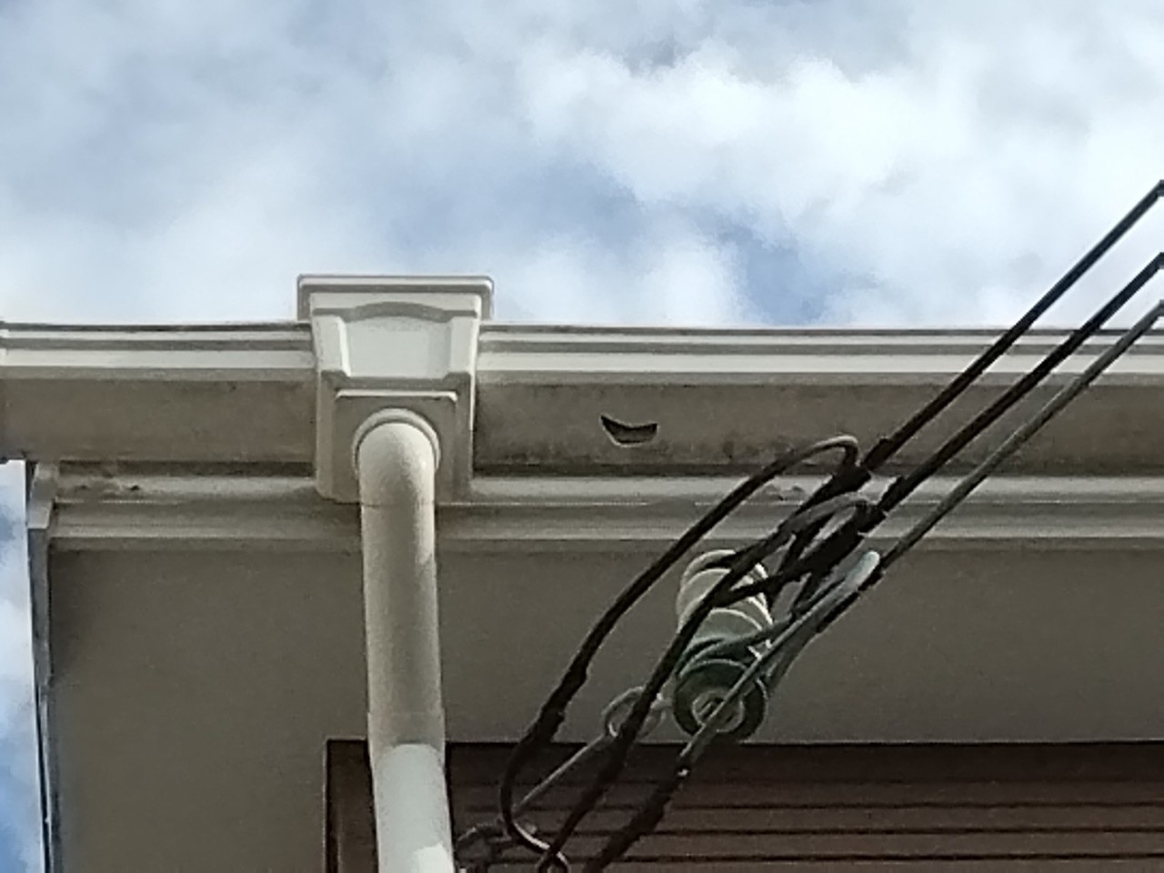 明石市　ひょう　集水器付近の軒樋(角樋)に穴開き