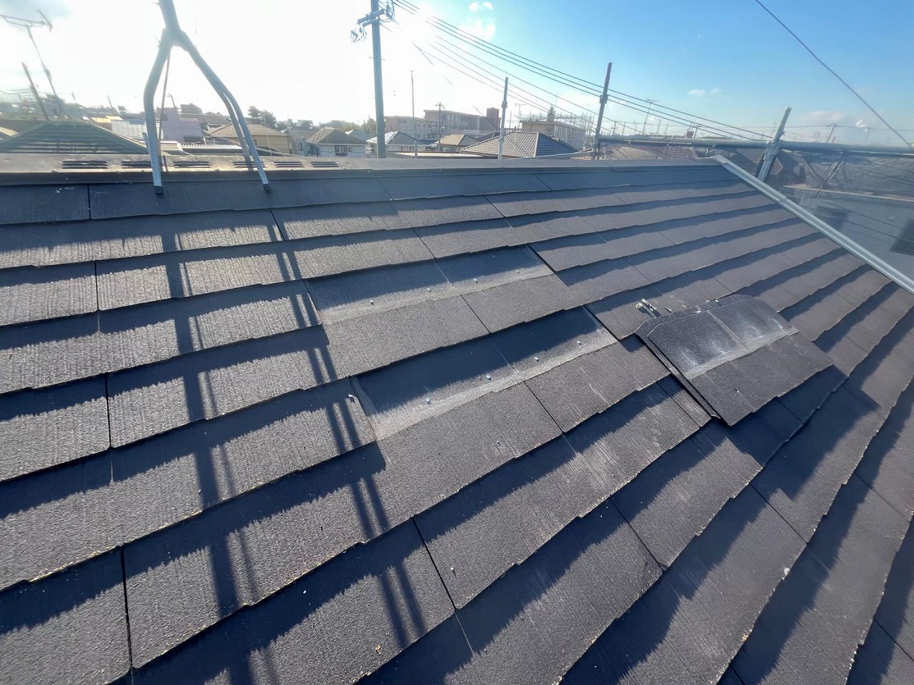 カラーベスト引っこ抜く