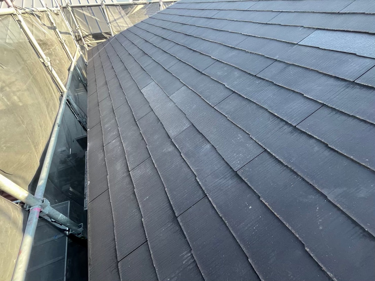 カラーベスト差し替え完了