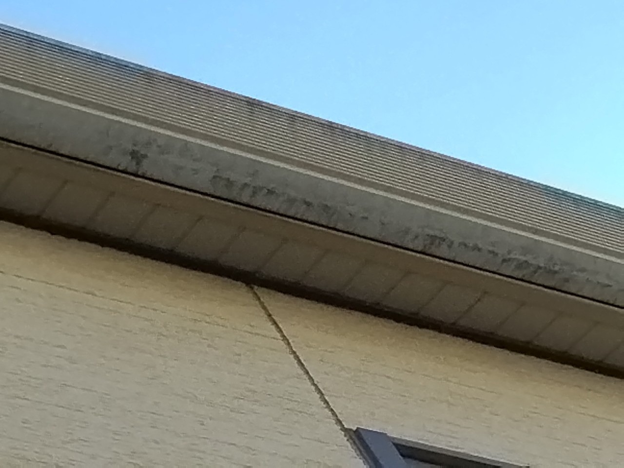 加古川市　雨樋　汚れ