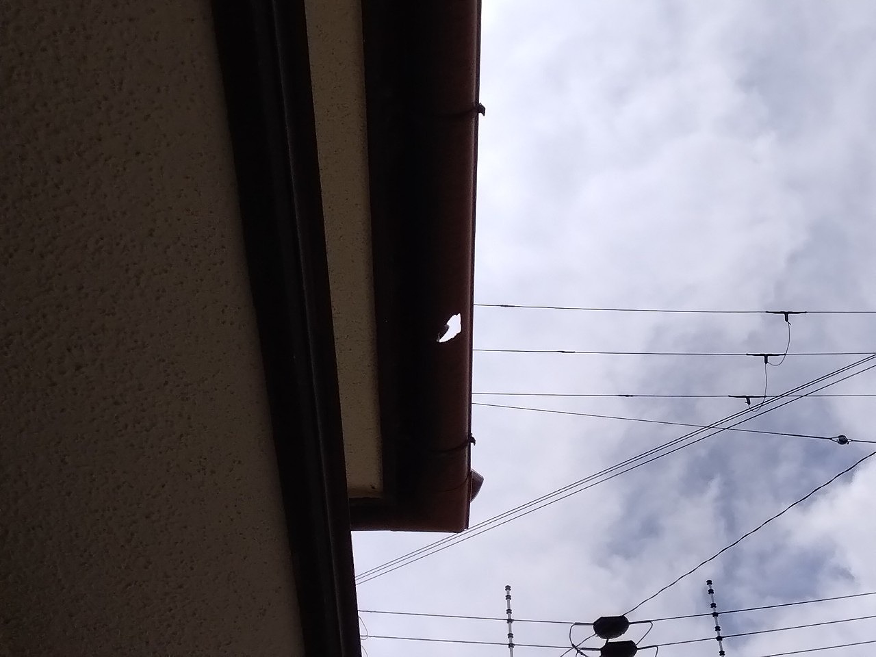 加古川市　雹被害でといに穴