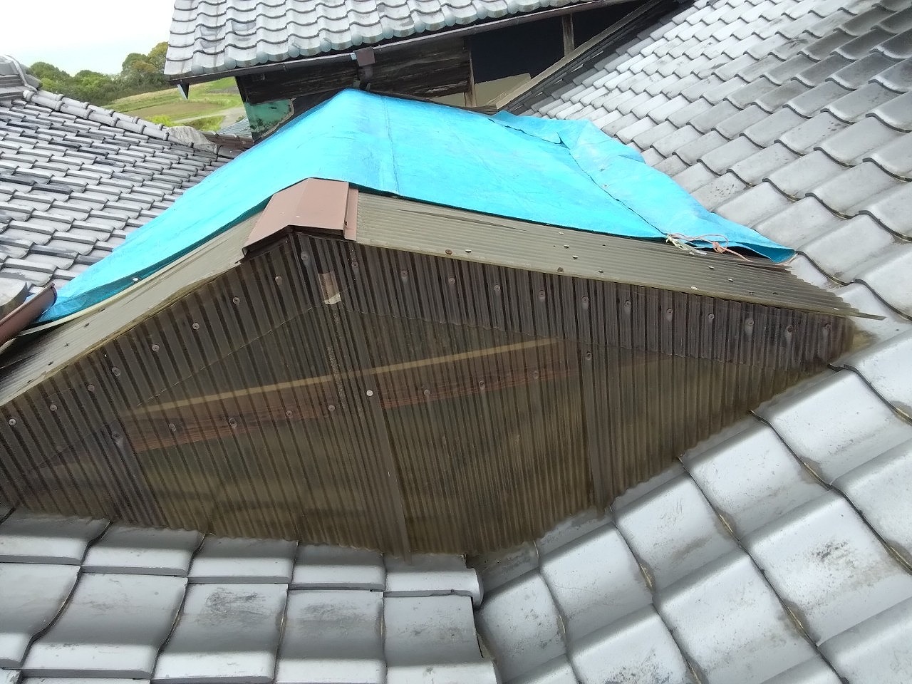 加古郡稲美町　雹被害で波板ポリカ養生