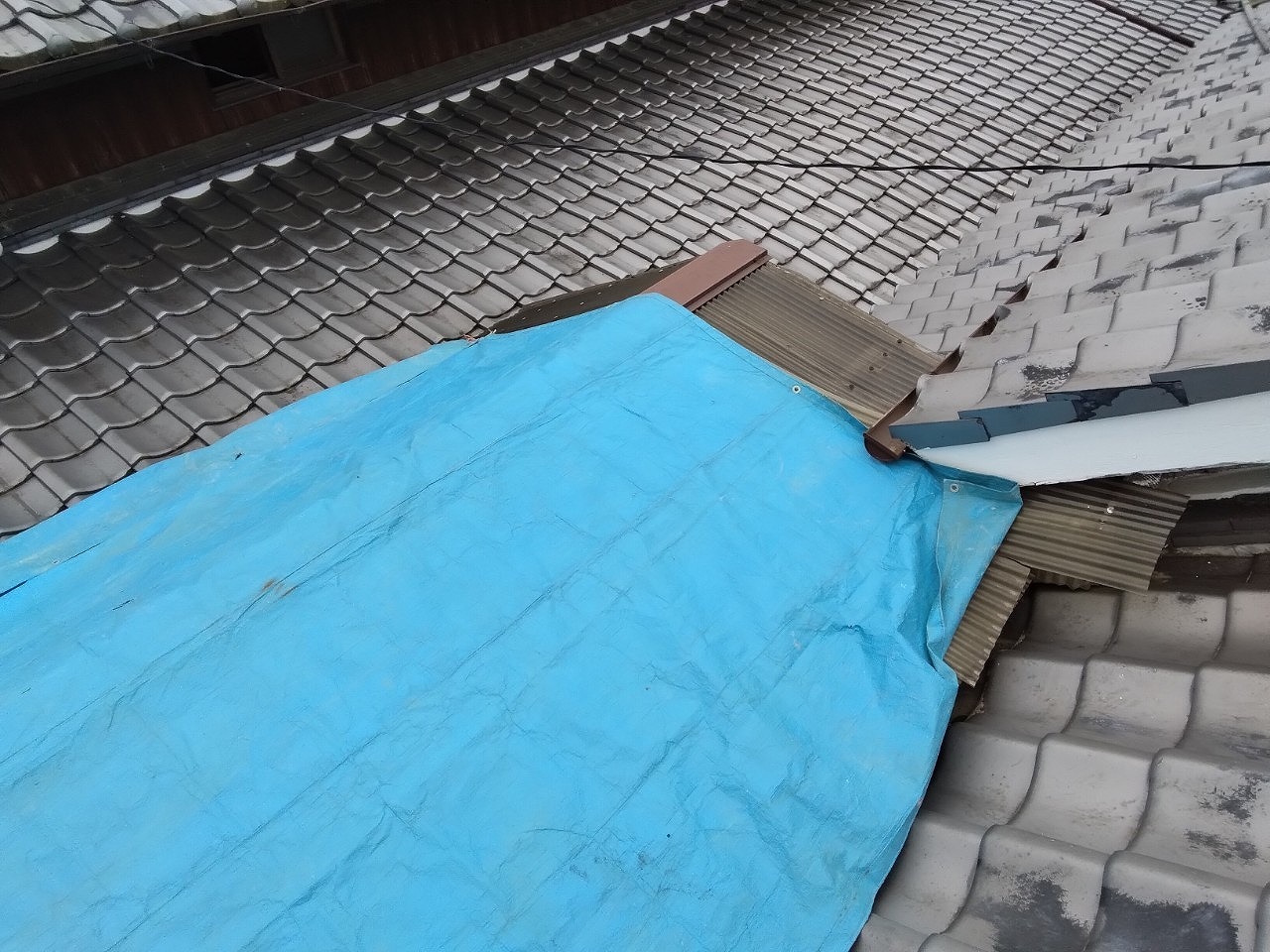 加古郡稲美町　ひょう　波板ポリカに穴あき