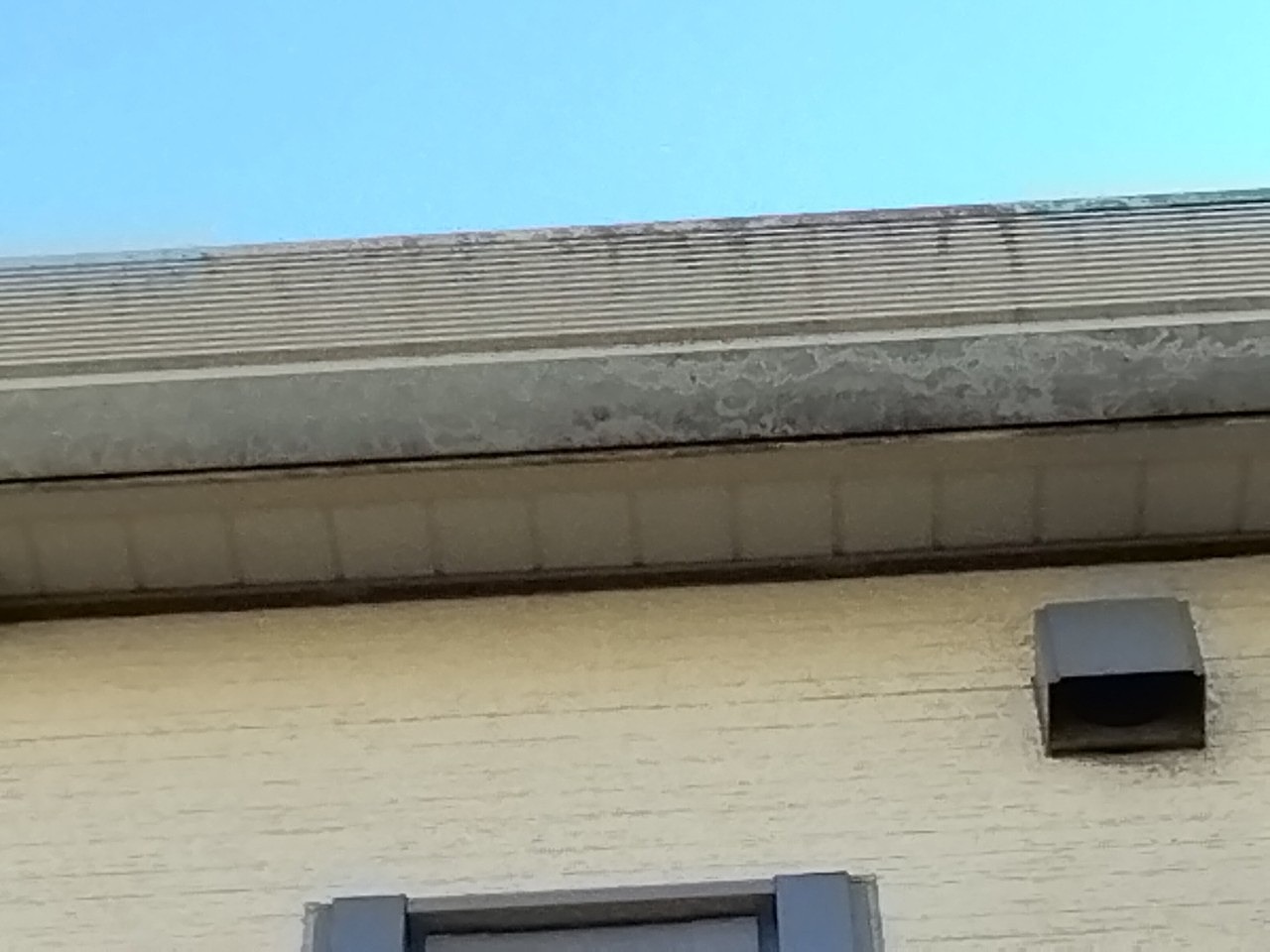 加古川市　角樋に汚れ