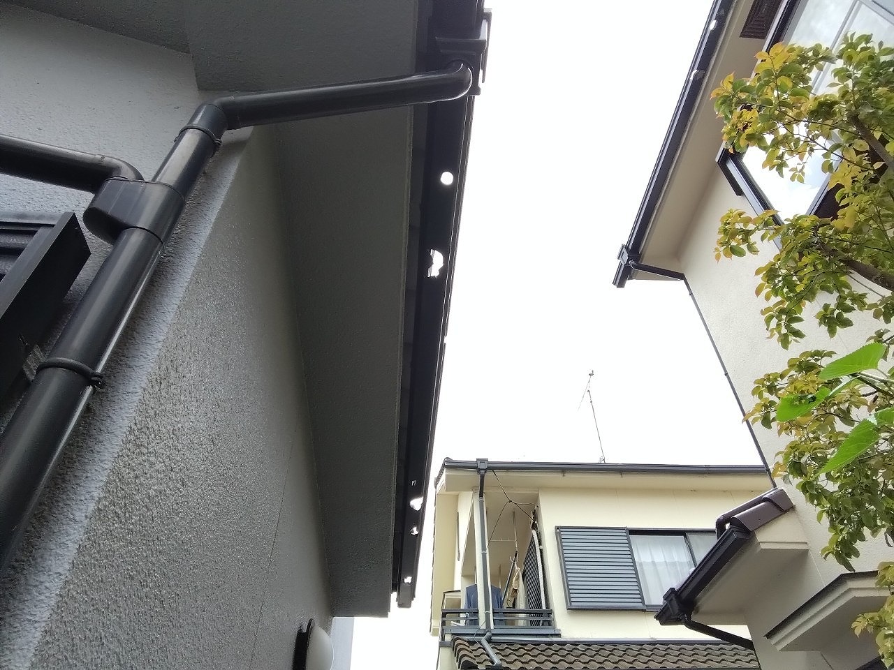 明石市　雹被害で角樋穴開き