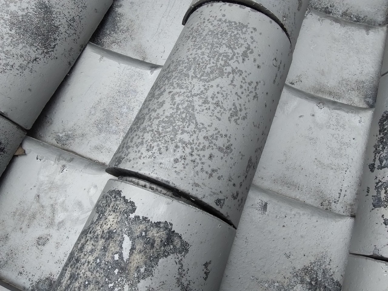 加古川市　本葺き丸瓦ズレ