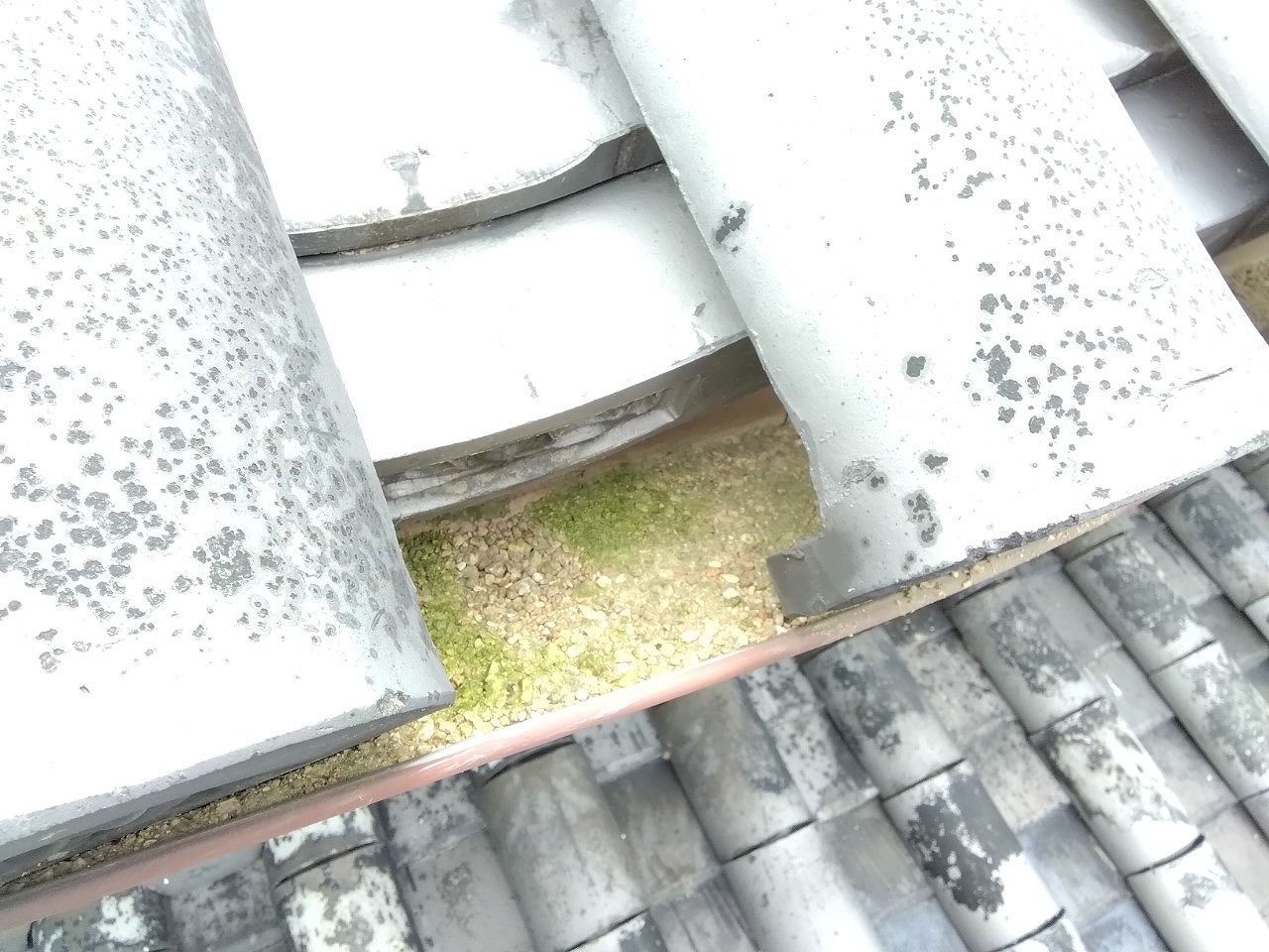 加古川市　軒樋に土詰まり