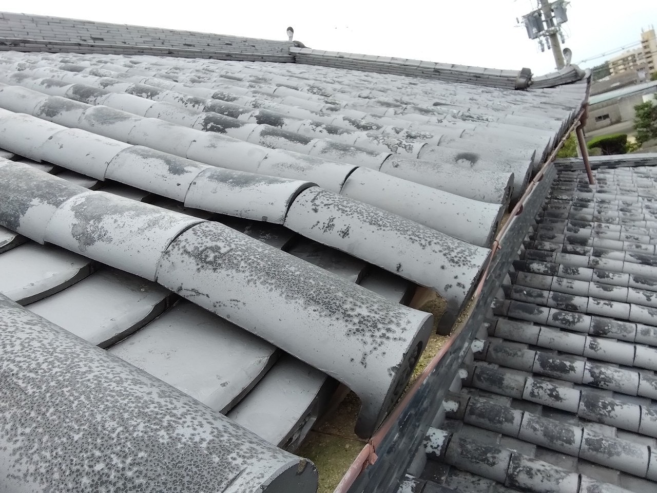 加古川市　本葺き丸瓦のズレ