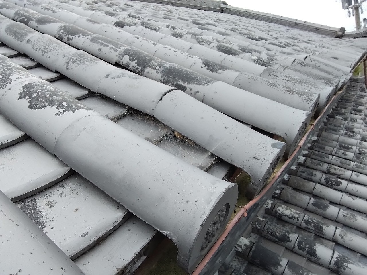 加古川市　軒先本葺き丸瓦のズレ落ち