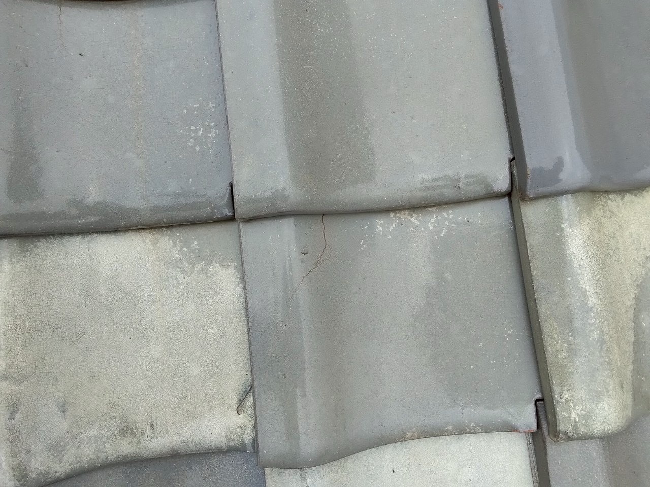 和瓦(釉薬瓦)ズレ