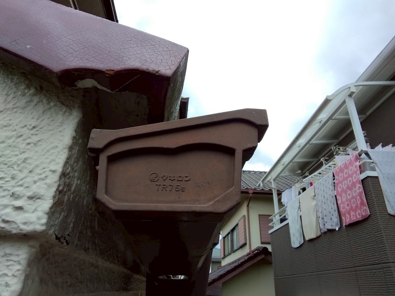 角樋(しんちゃ)