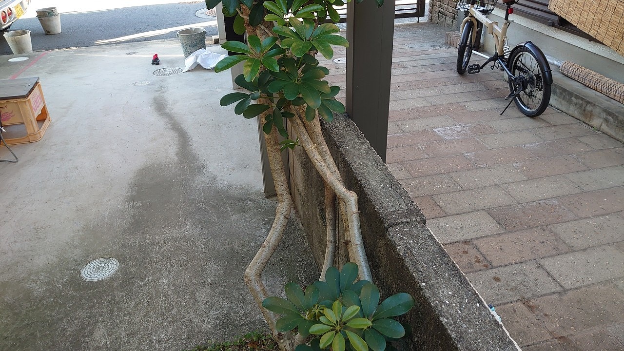 ブロック塀モルタル補修前