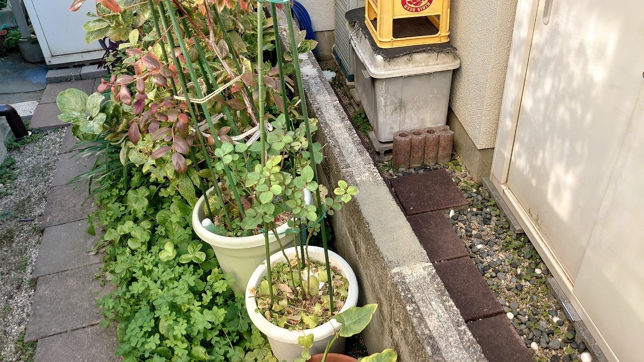 ブロック塀　上面　補修