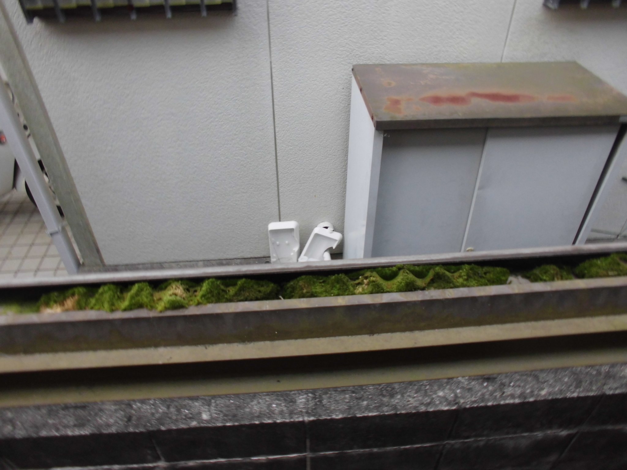 神戸市　波板工事　火災保険　清掃前