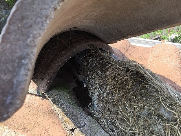 神戸市　施工事例　葺き替え工事　セメント瓦　棟瓦浮き　内部