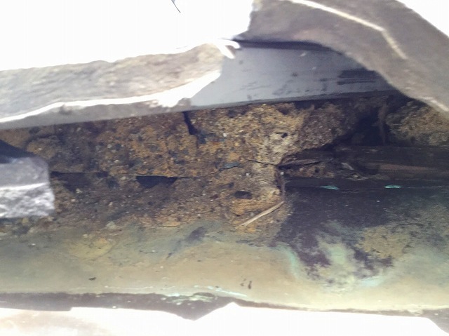 施工前の現地の様子３