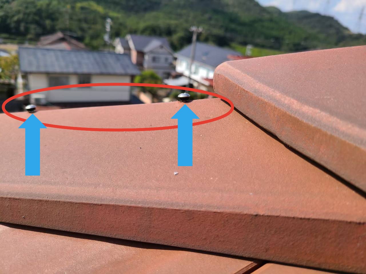 加古川　棟のビスうき