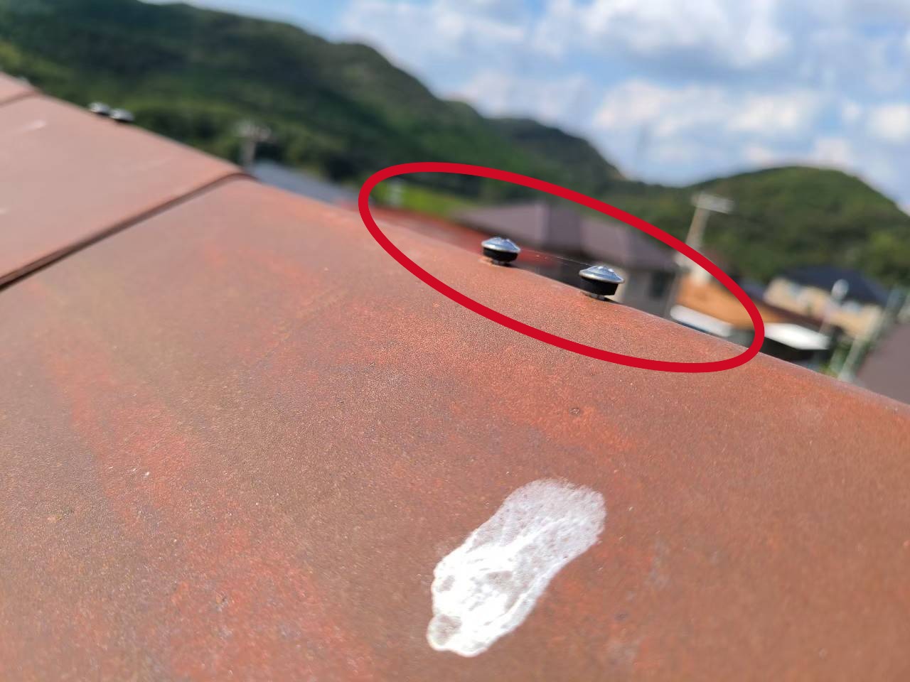 加古川　棟のビスうき