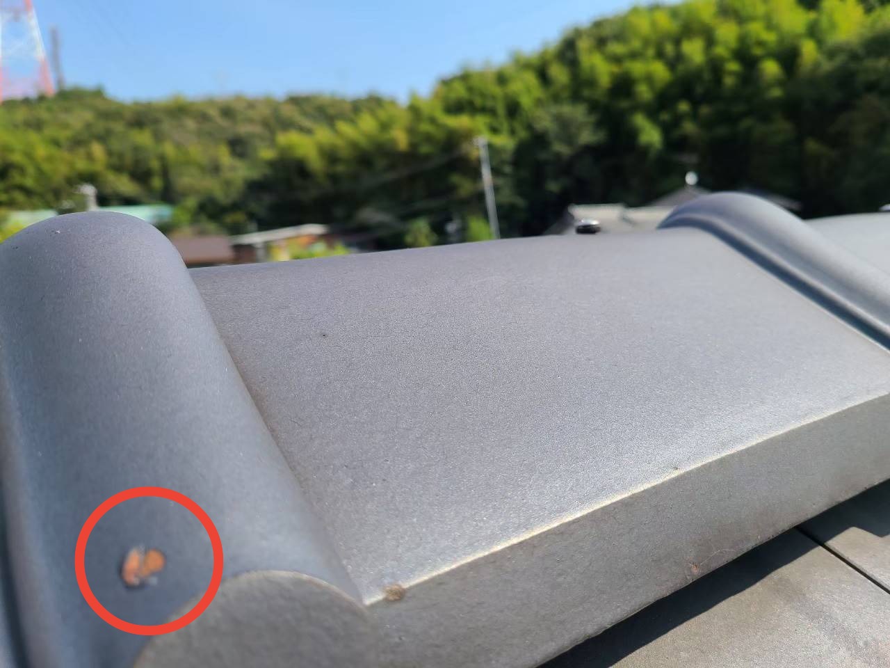 加古川　屋根点検