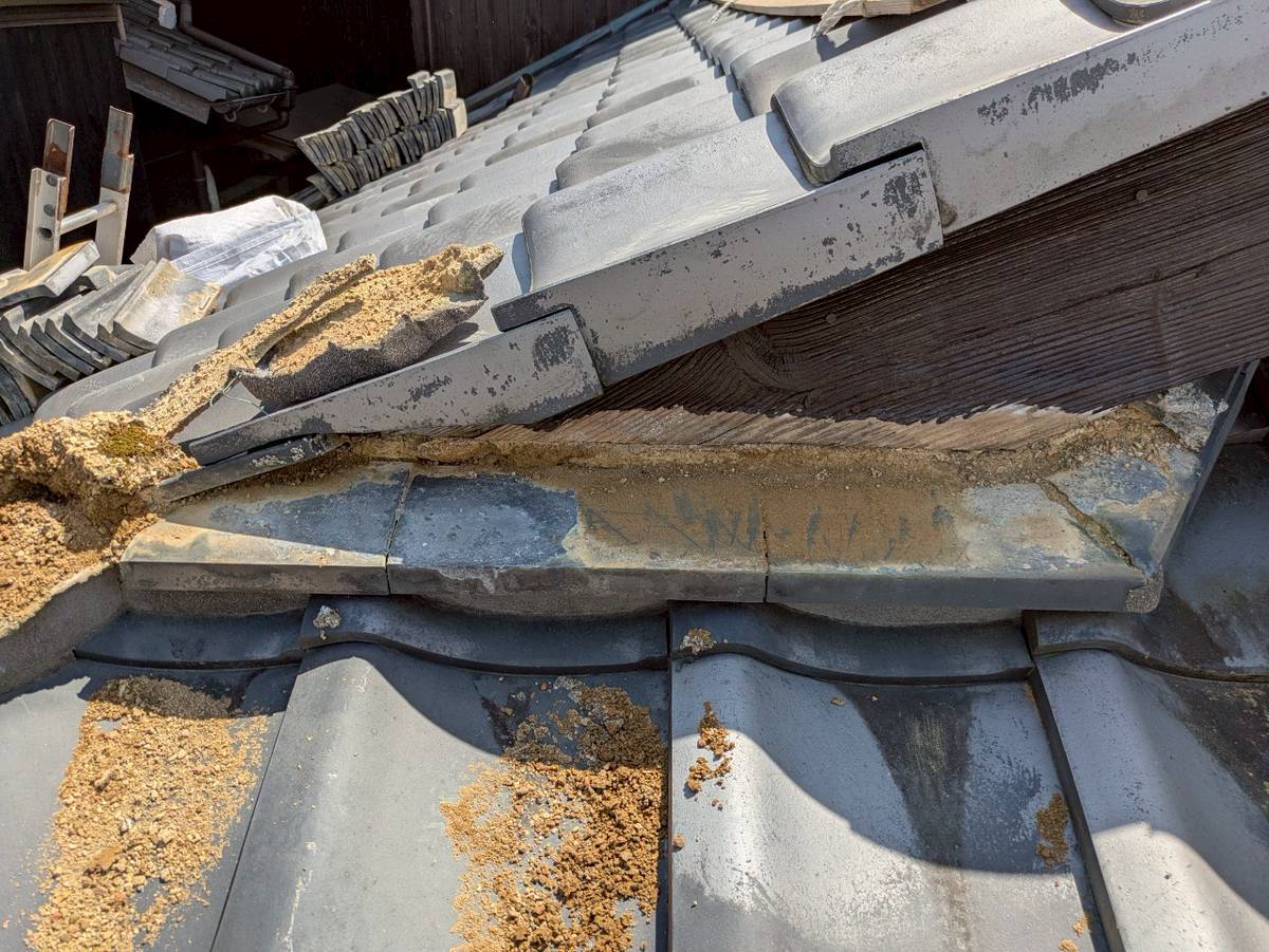 加古川市　漆撤去