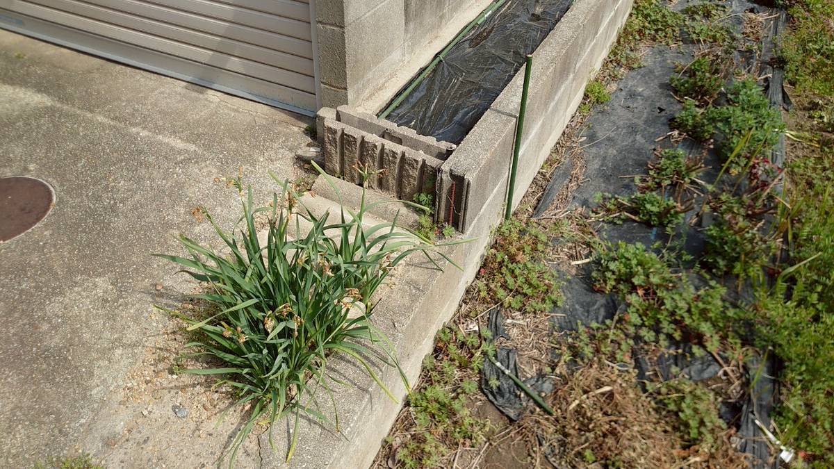 外構工事　施工前