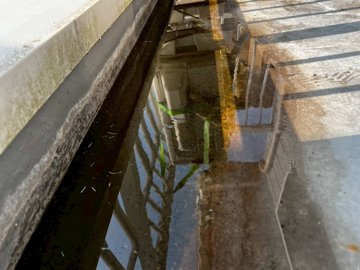 加古川　ベランダ防水工事　排水不良部の近接・溜水と汚れの堆積